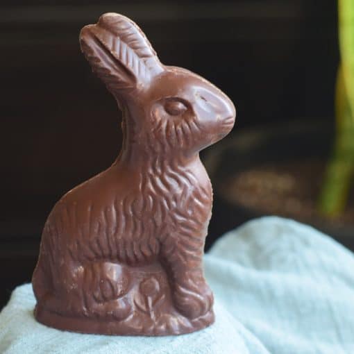 Solid gourmet dark chocolate Easter bunny with specks of Cocoa Pebbles cereal