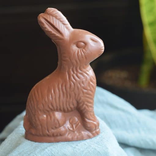 Solid gourmet milk chocolate Easter bunny with crispy rice cereal
