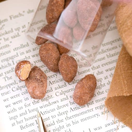 Sprinkling of Cinnamon Toffee Almonds pouring out of the container, sitting on an open book