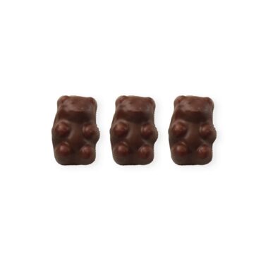 Chocolate Covered Cinnamon BearsOverhead view of three chocolate-covered cinnamon bears laying on a white background.