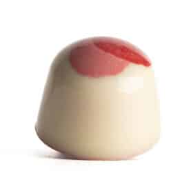 Gourmet White Chocolate Raspberry Truffle