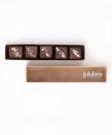 Dark Chocolate Fleur de Sel Caramels
